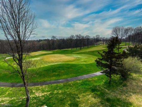 36 Vanderveer Drive Bernards NJ 07920