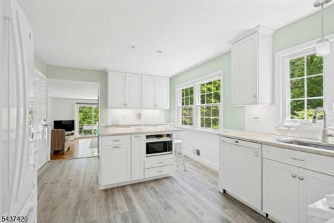 4 Ashley Court Morris NJ 07960