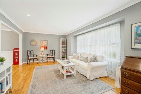 4 Ashley Court Morris NJ 07960