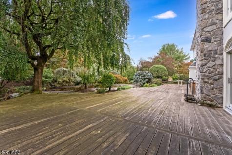 31 Blackbirch Road Scotch Plains NJ 07076
