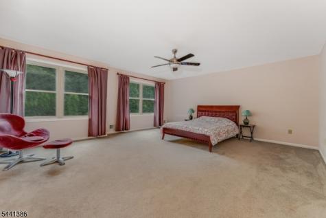 16 Woodland Terrace Bloomsbury NJ 08804