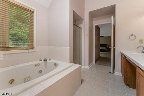 16 Woodland Terrace Bloomsbury NJ 08804