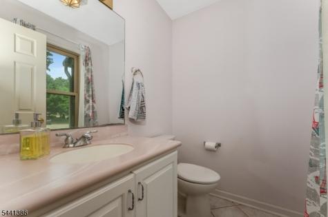 16 Woodland Terrace Bloomsbury NJ 08804