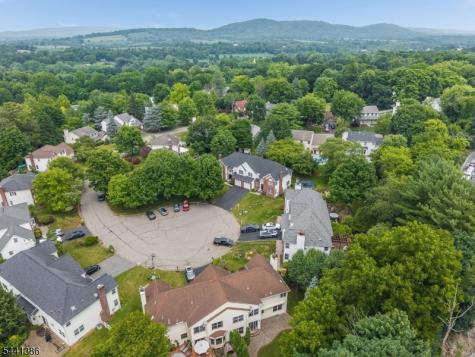 16 Woodland Terrace Bloomsbury NJ 08804