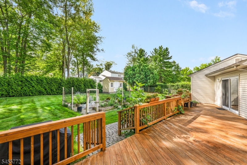 6 Selmar Terrace East Hanover NJ 07936