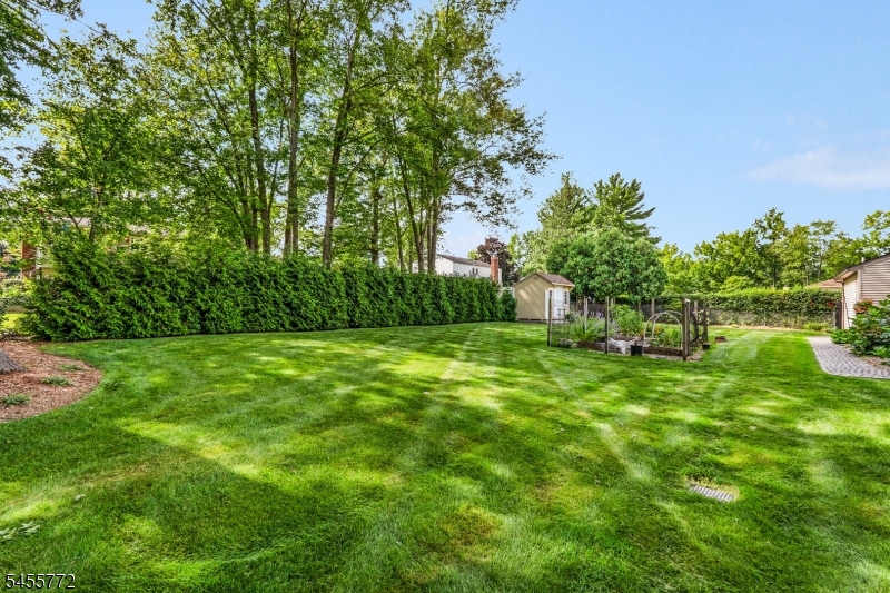 6 Selmar Terrace East Hanover NJ 07936