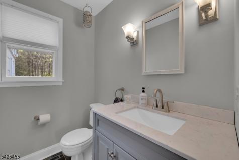 456 Steeplechase Lane Bridgewater NJ 08807