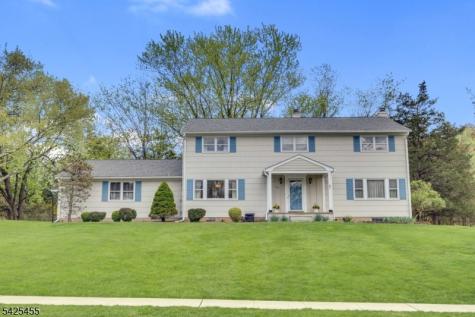 456 Steeplechase Lane Bridgewater NJ 08807