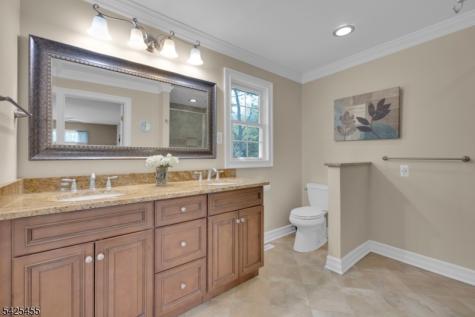 456 Steeplechase Lane Bridgewater NJ 08807