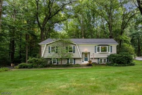 20 Edward Drive Mount Olive NJ 07836