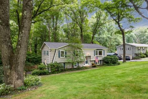 20 Edward Drive Mount Olive NJ 07836