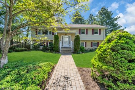 63 Ronald Terrace Springfield NJ 07081