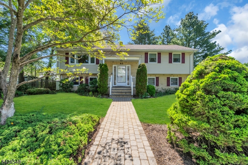 63 Ronald Terrace Springfield NJ 07081