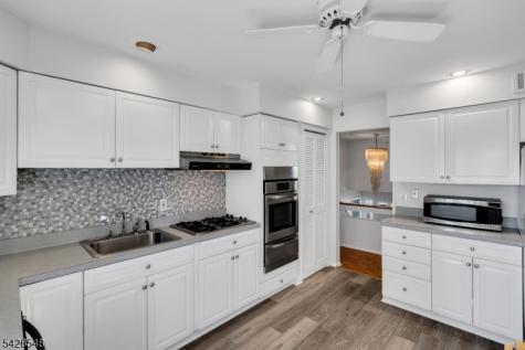 63 Ronald Terrace Springfield NJ 07081