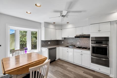 63 Ronald Terrace Springfield NJ 07081
