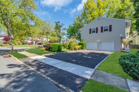 63 Ronald Terrace Springfield NJ 07081