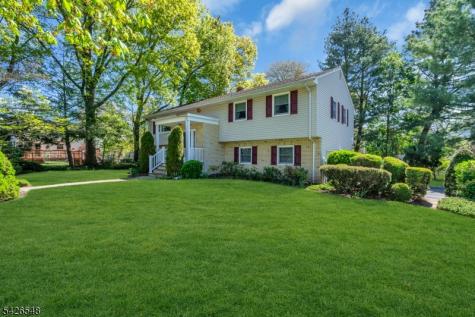 63 Ronald Terrace Springfield NJ 07081