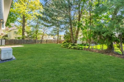 63 Ronald Terrace Springfield NJ 07081