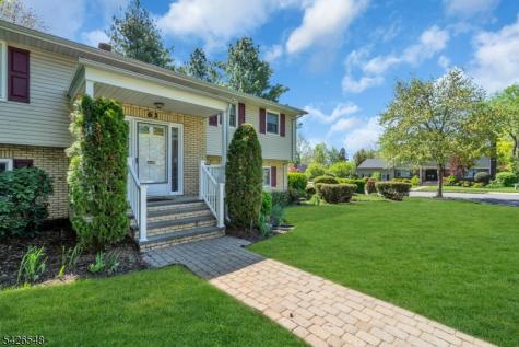 63 Ronald Terrace Springfield NJ 07081