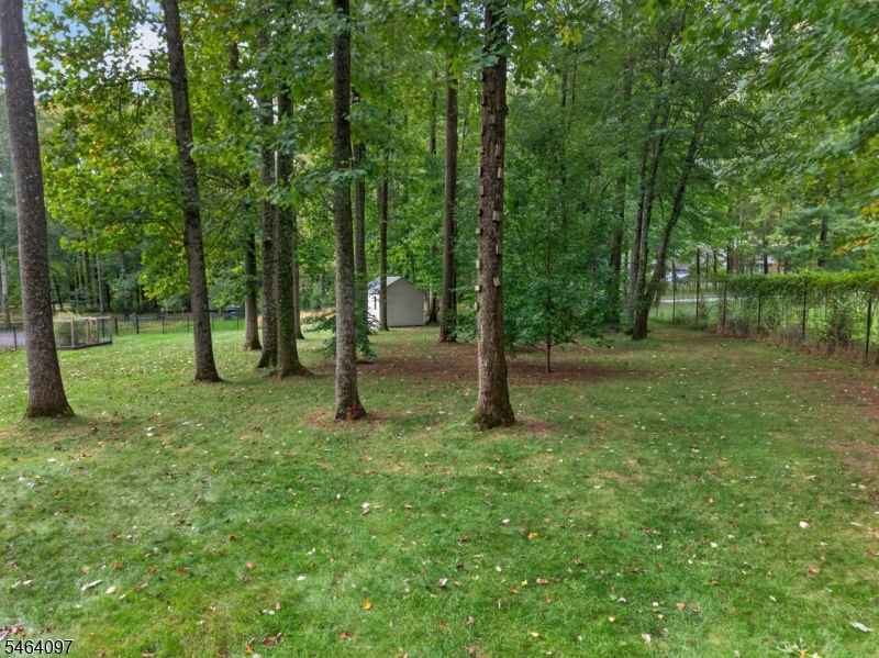 5 Campbells Brook Road Readington NJ 08889