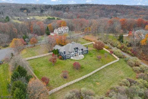 9 Wortman Way Chester NJ 07930
