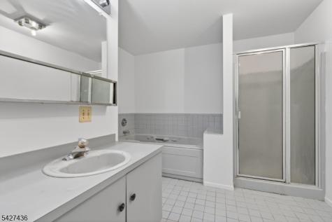 169 Castle Ridge Drive East Hanover NJ 07936