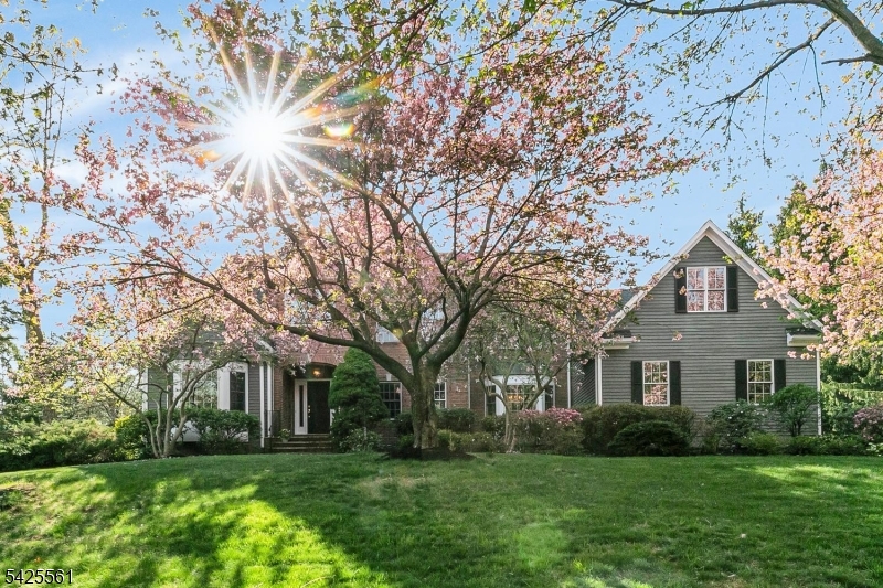 98 Bernard Drive Bernards NJ 07920