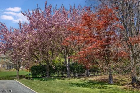 49 Highland Avenue Montclair NJ 07042