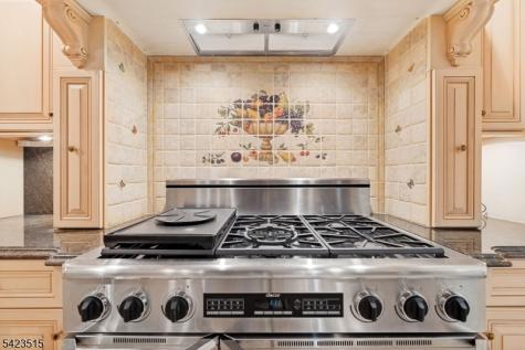 3 Rolling Ridge Drive Rockaway NJ 07866