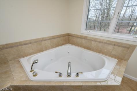 3 Tara Court Hardwick NJ 07825