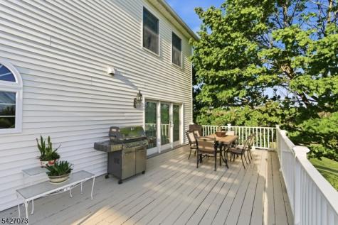 7 Woodfield Road Green NJ 07821