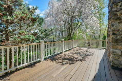 430 Morris Avenue Mountain Lakes NJ 07046