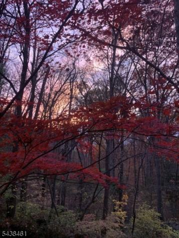 4 Pine Tree Lane Chester NJ 07930