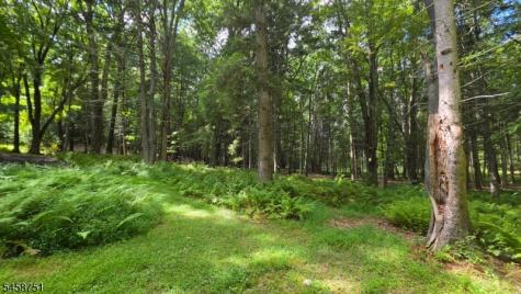 29 Millville Road Montague NJ 07827