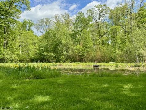202 Millbrook Road Hardwick NJ 07825