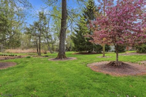 9 Springtown Road Readington NJ 08889