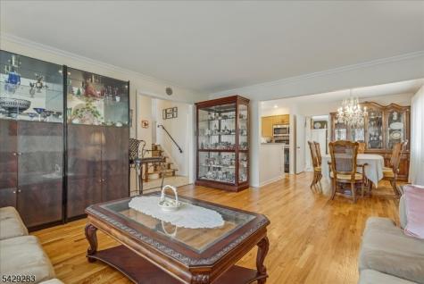40 Catherine Court Cedar Grove NJ 07009
