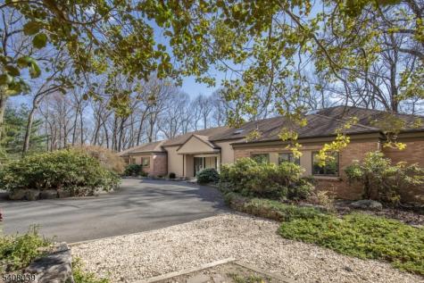 235 Mountainside Road Mendham NJ 07945