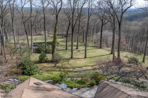 235 Mountainside Road Mendham NJ 07945