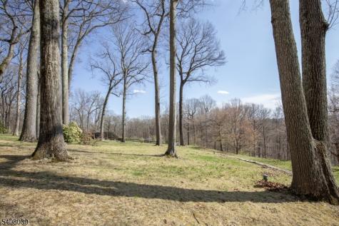 235 Mountainside Road Mendham NJ 07945