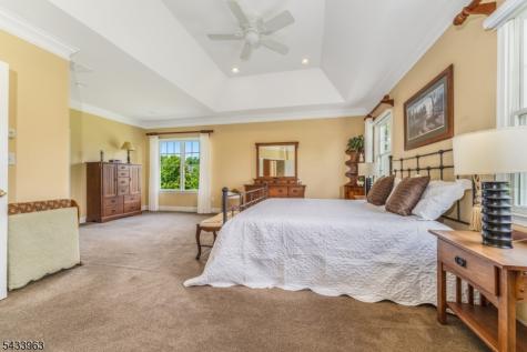 20 Balmoral Drive Alexandria NJ 08867
