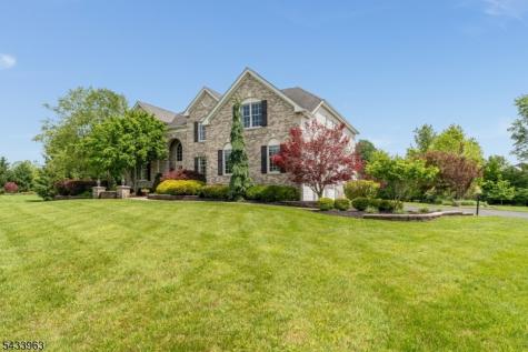 20 Balmoral Drive Alexandria NJ 08867