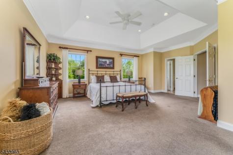 20 Balmoral Drive Alexandria NJ 08867