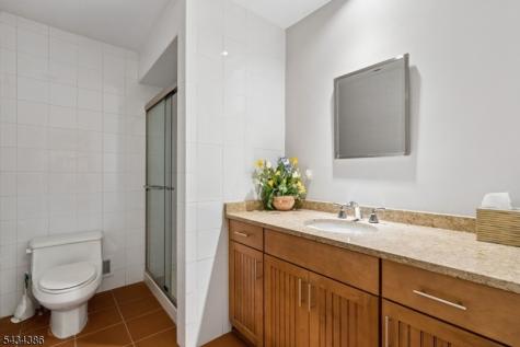 10 Hawthorne Court Morris NJ 07960
