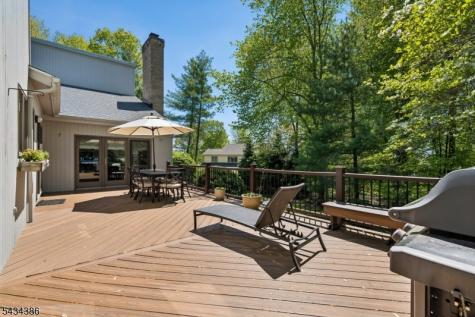 10 Hawthorne Court Morris NJ 07960