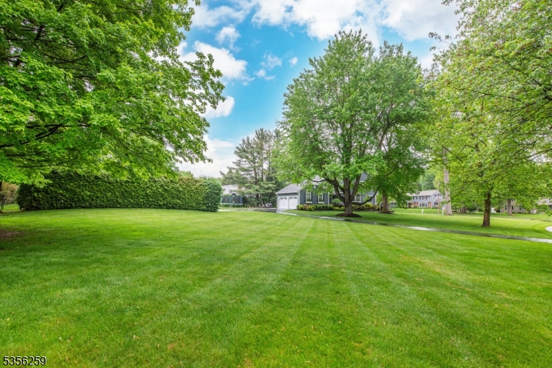 41 Granville Way Bernards NJ 07920