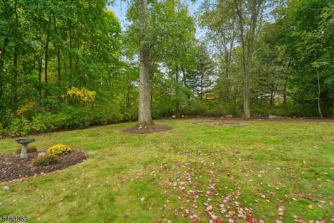 27 Karla Drive Hanover NJ 07981