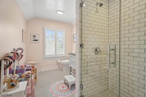 177 Weston Avenue Chatham NJ 07928