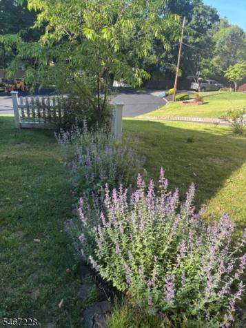 9 Harrison Court Summit NJ 07901