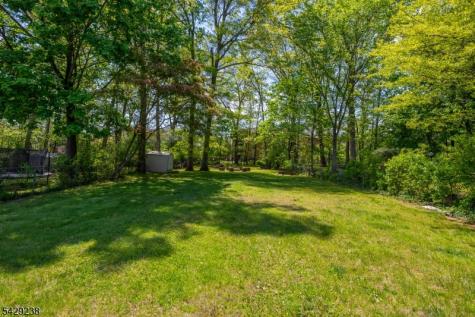 23 Frederick Place Hanover NJ 07927